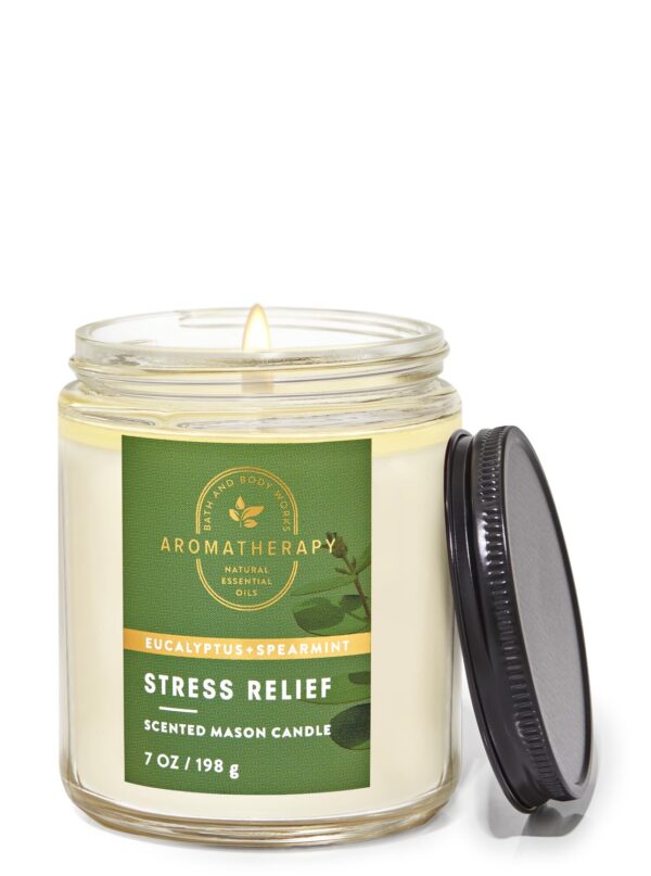Bath & Body Works Eucalyptus Spearmint Mason Single Wick Candle 198g